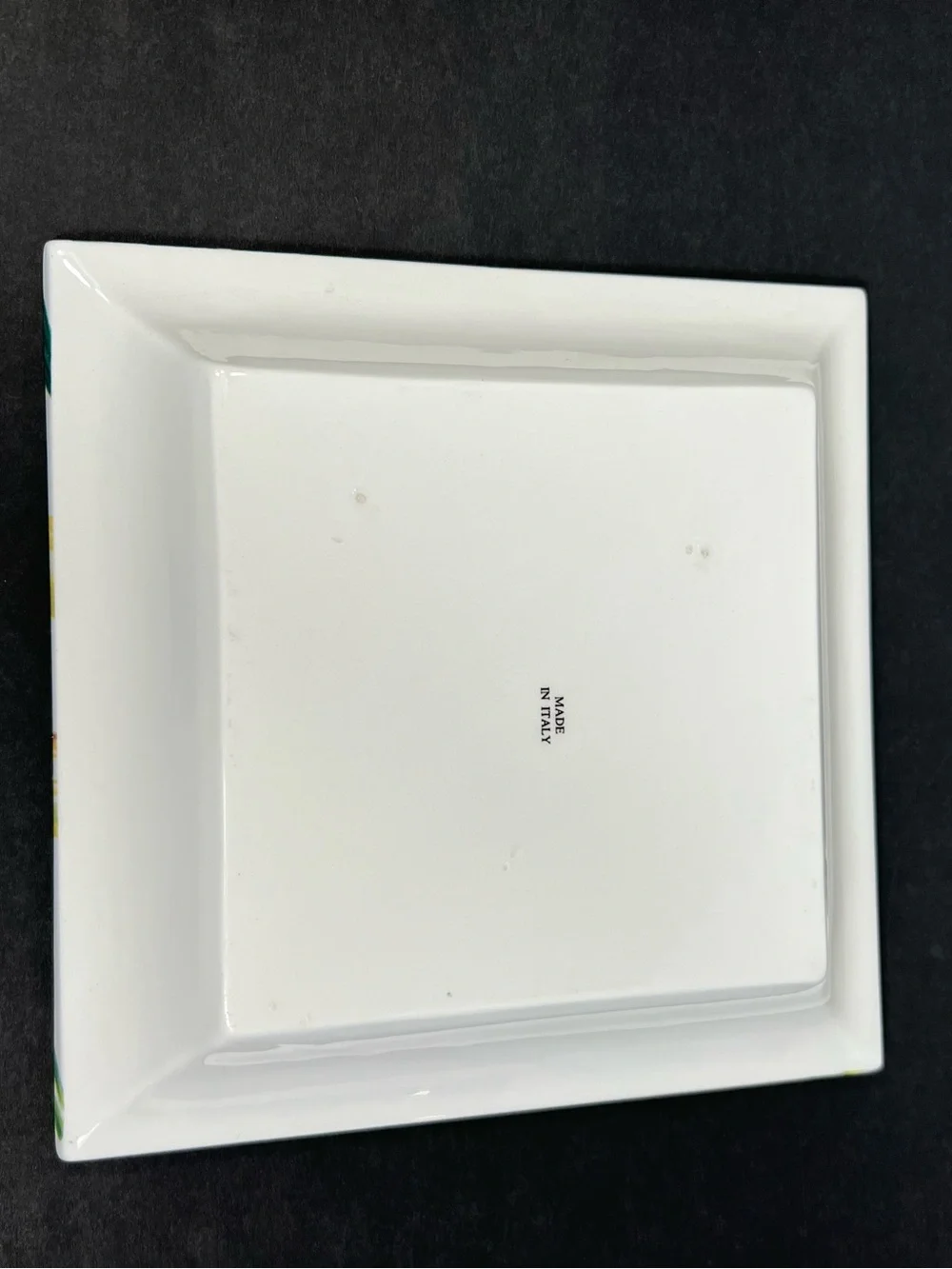 Made in Italy Ceramic Bamboo Botanical Square Serving Plate 6”